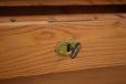 Antique elm chest of 4 drawers made by Danish Cabinetmkaer in the 1850s
