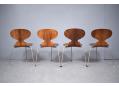 ANT chairs designed by Arne Jacobsen in 1952. Model 3100 in rosewood 