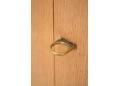 The door handle that is also the lock securing the panel doors.